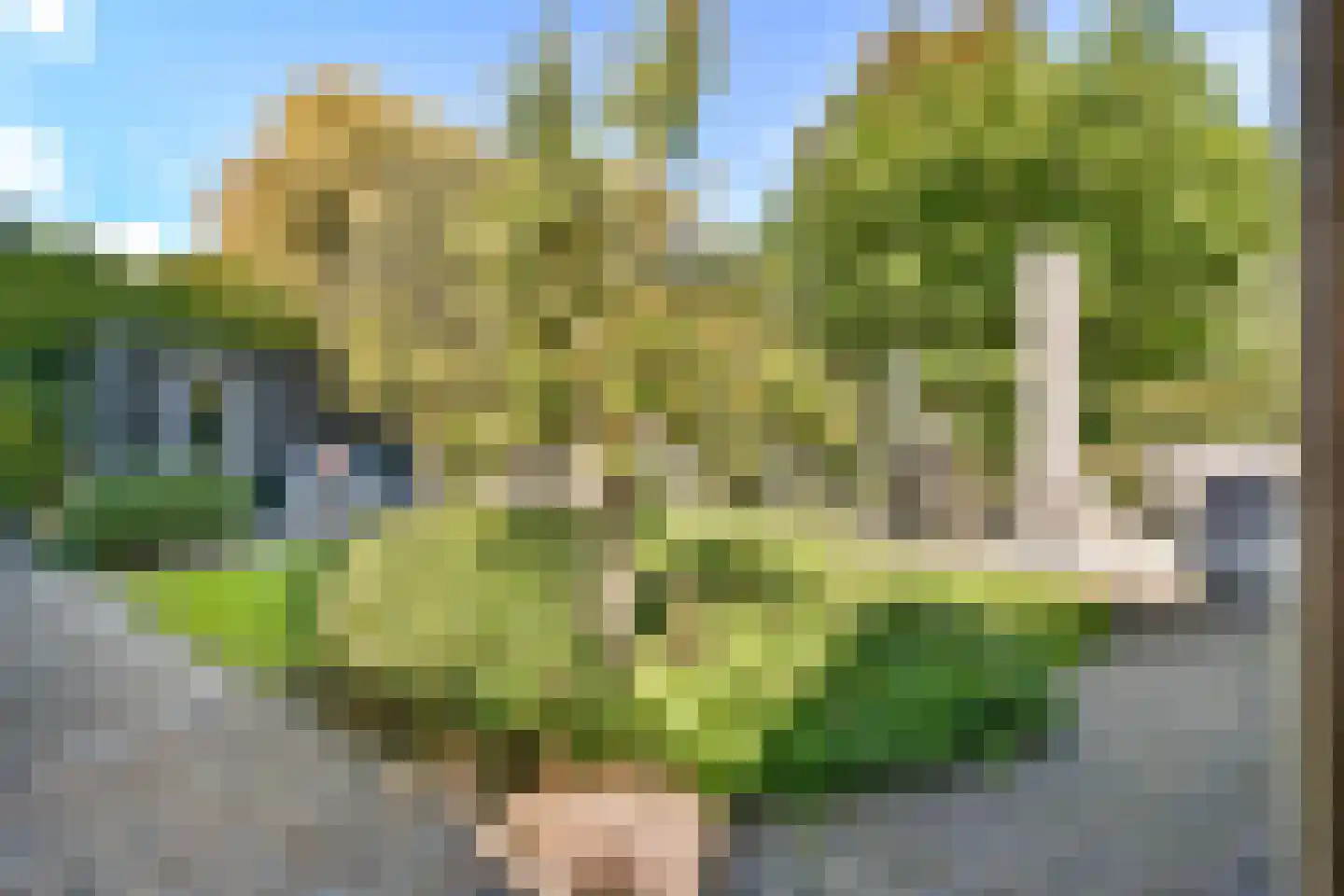 Lutgerslaan 20 Loenen aan de Vecht thumbnail 34