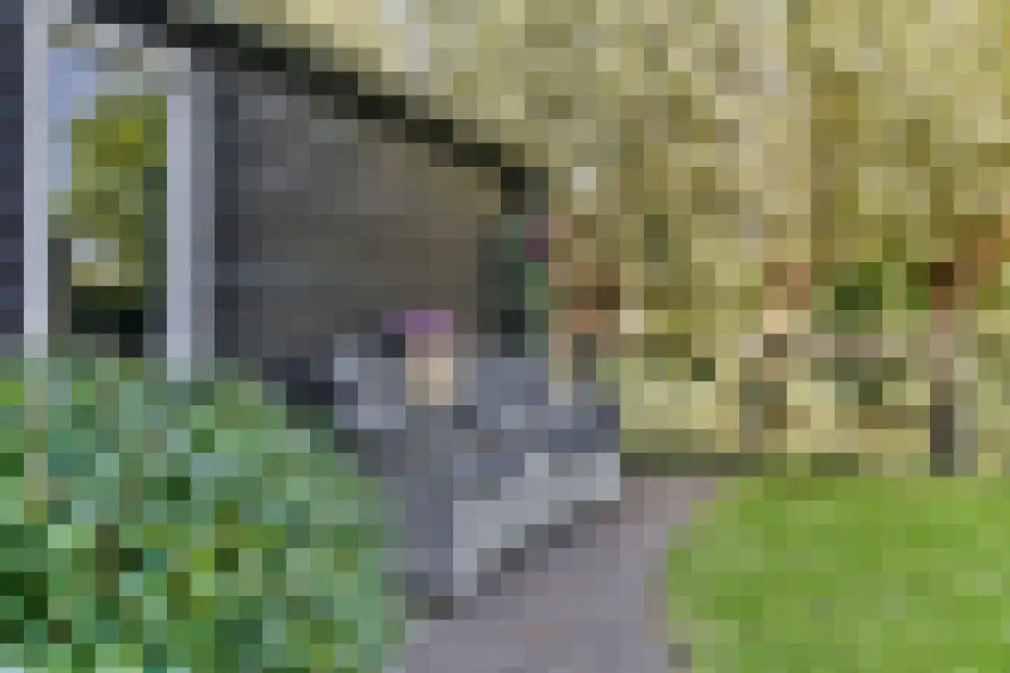 Lutgerslaan 20 Loenen aan de Vecht thumbnail 43
