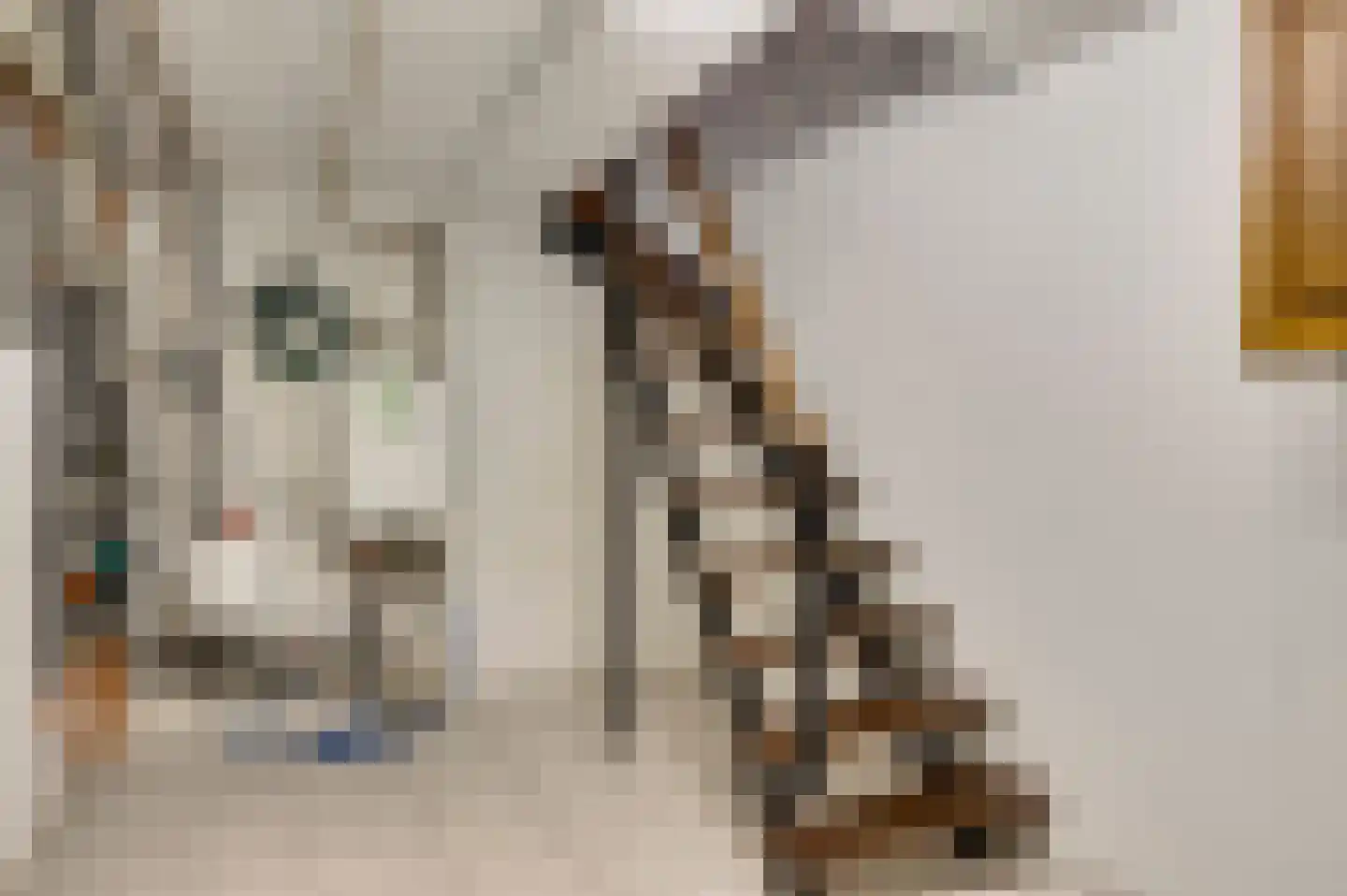 Luther Kingstraat 2 Beek thumbnail 37