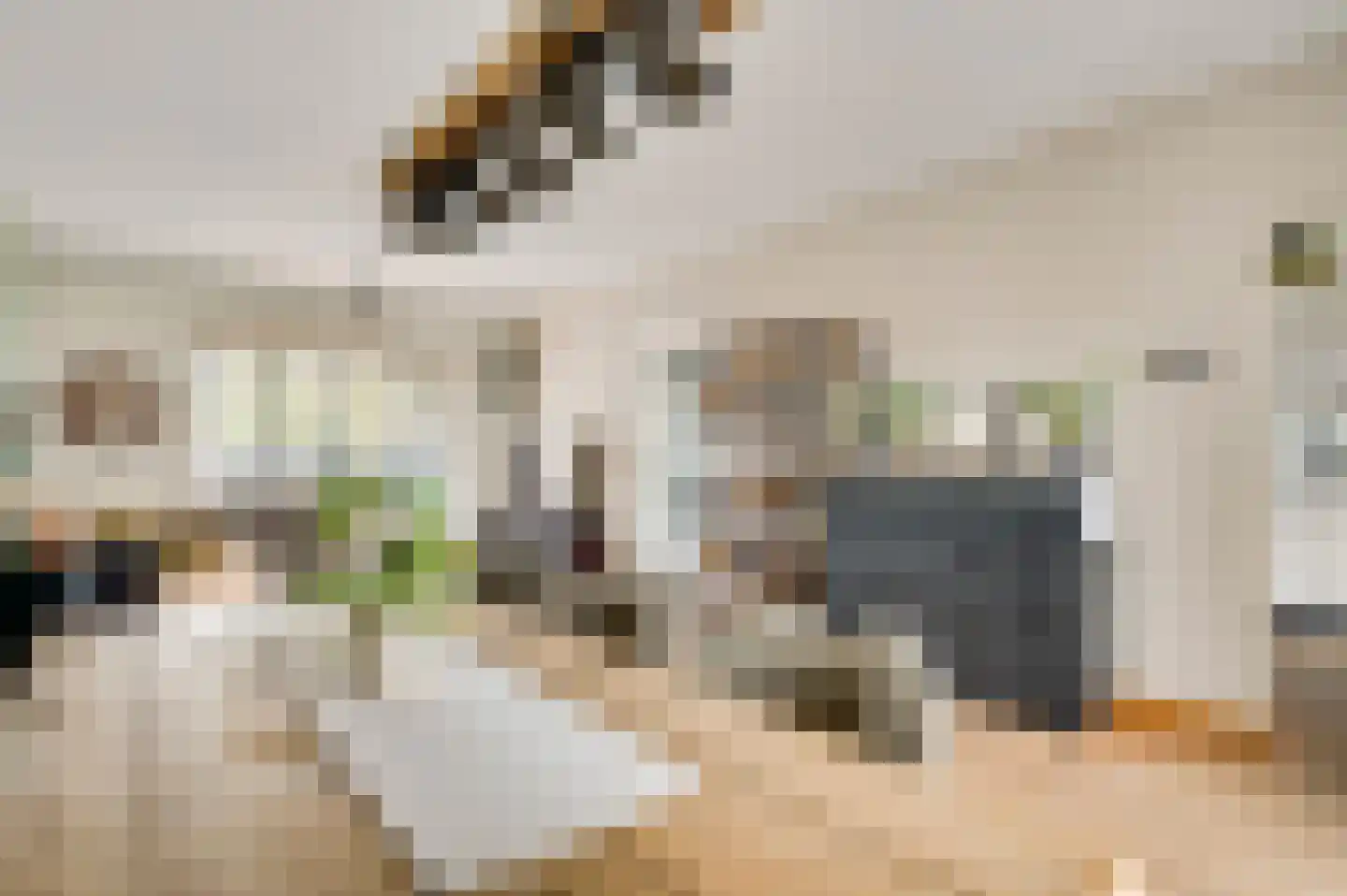 Luther Kingstraat 4 Beek thumbnail 11