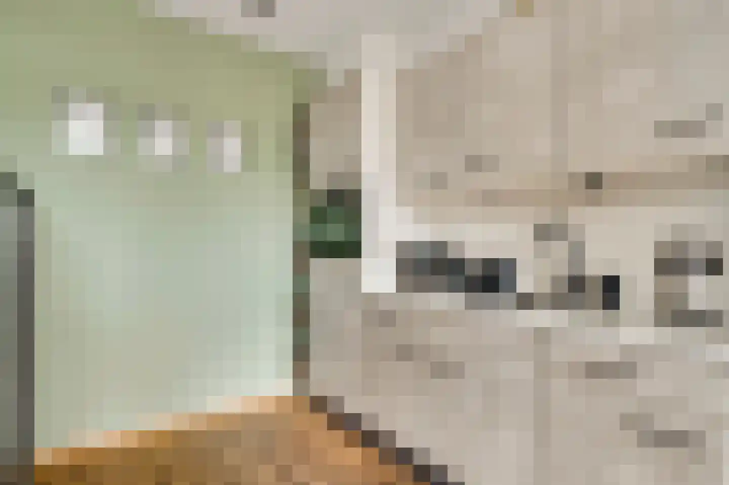 Luther Kingstraat 4 Beek thumbnail 12