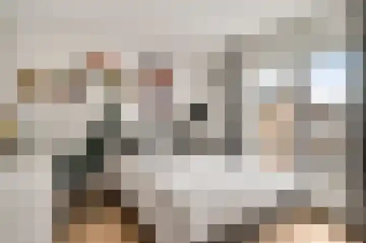 Luther Kingstraat 4 Beek thumbnail 21