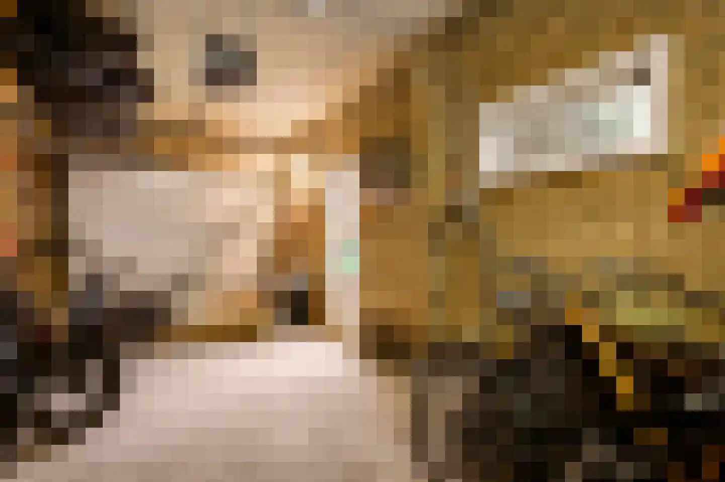 Luther Kingstraat 4 Beek thumbnail 38