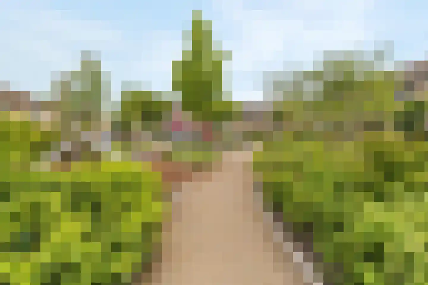Lutherhof 134 Hilversum thumbnail 28