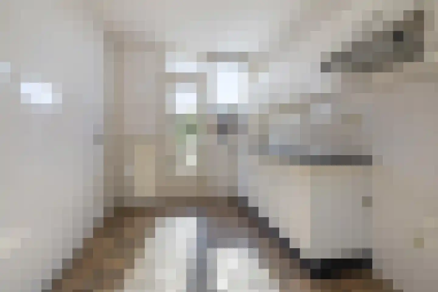 Lutherhof 36 Hilversum thumbnail 9