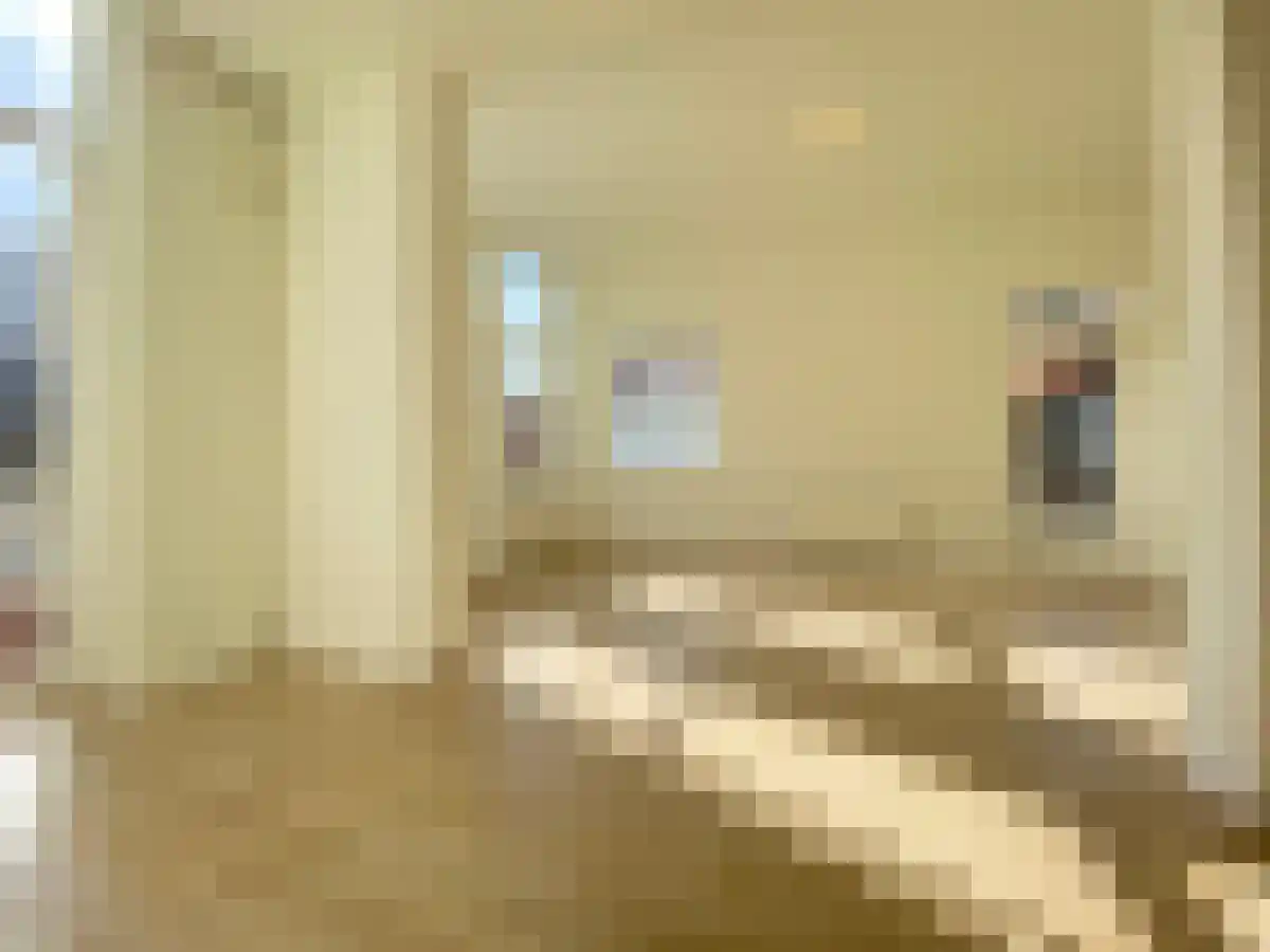 Lutherse Burgwal 11 E Den Haag thumbnail 4