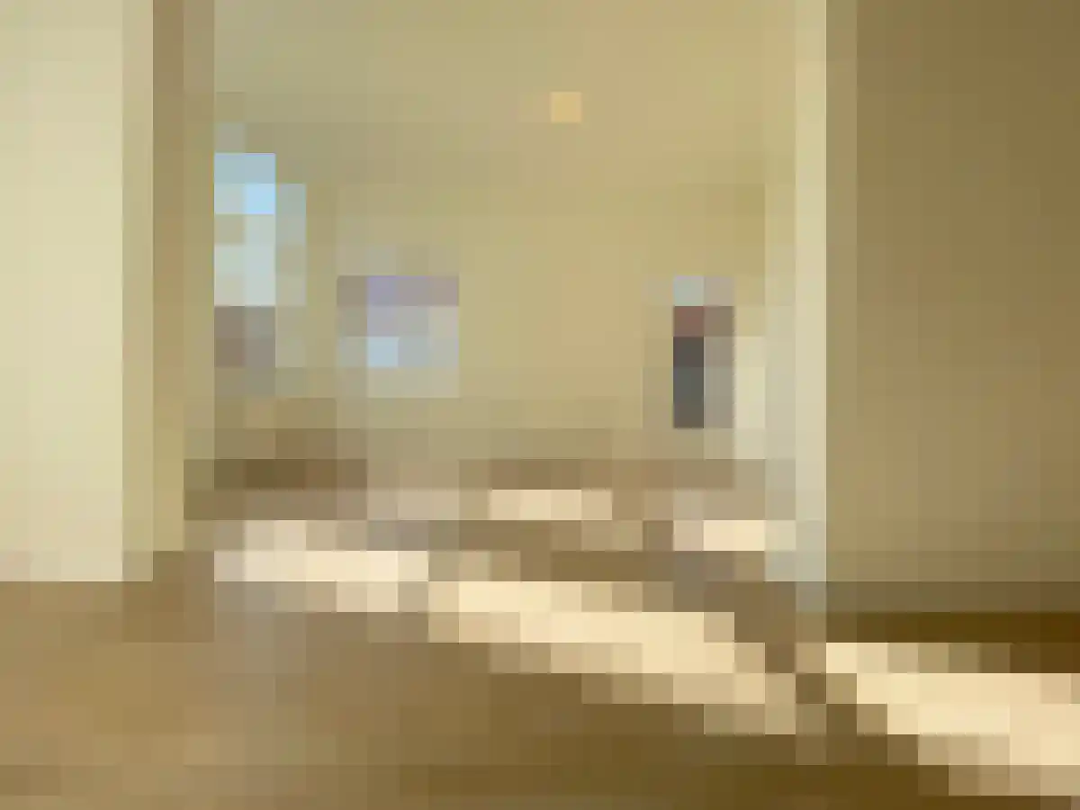 Lutherse Burgwal 11 E Den Haag thumbnail 5
