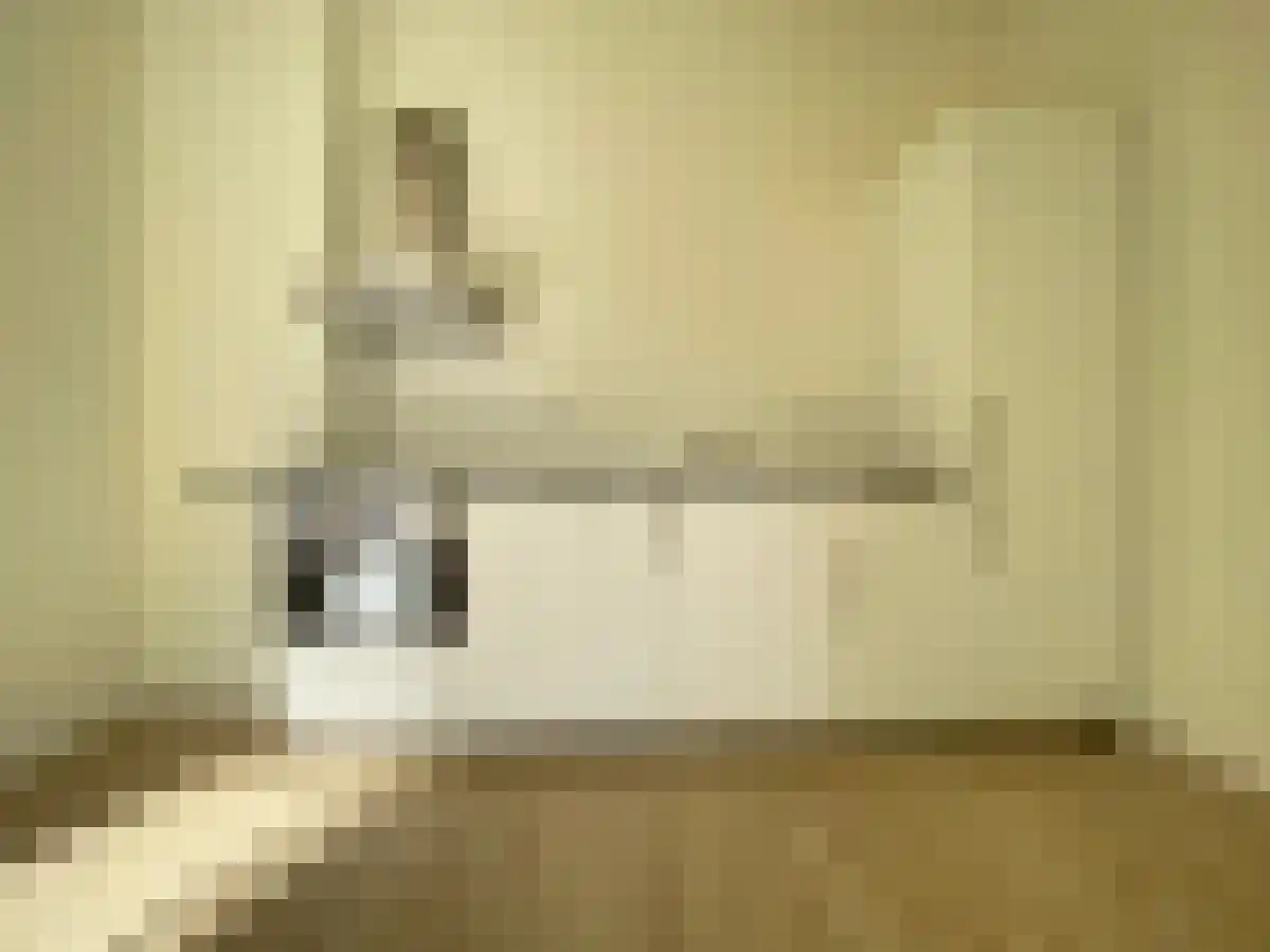 Lutherse Burgwal 11 E Den Haag thumbnail 6
