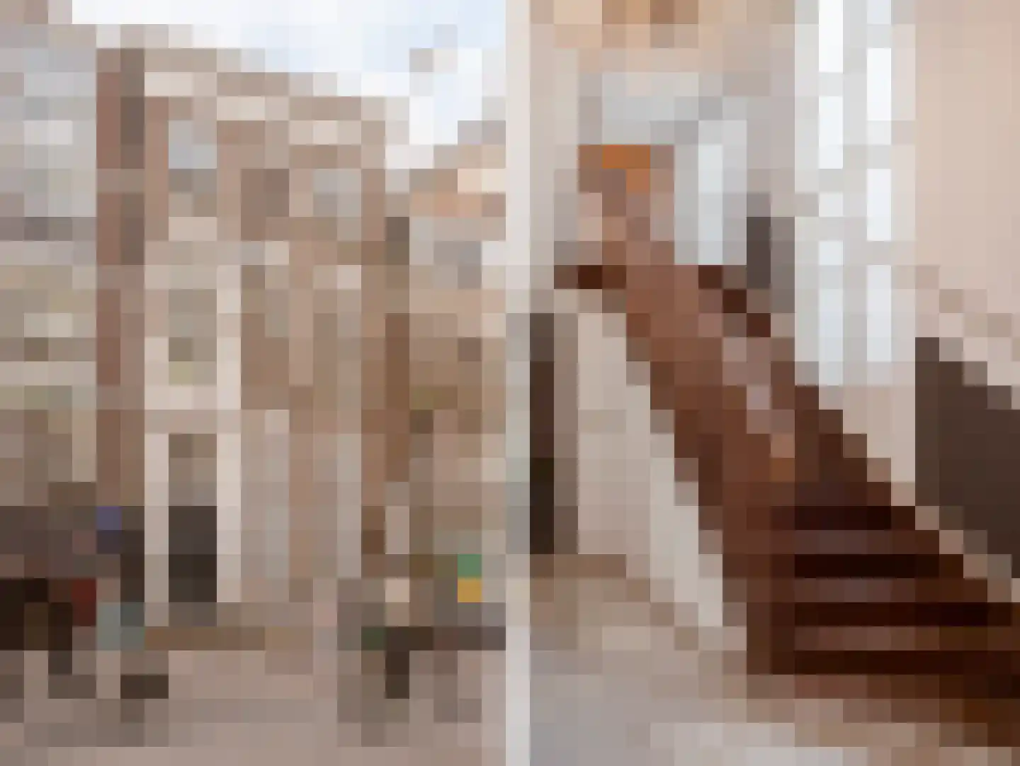 Lutherse Burgwal 17 A Den Haag thumbnail 4