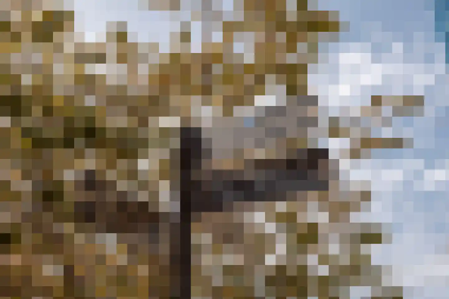 Lutherse Burgwal 17 A Den Haag thumbnail 43