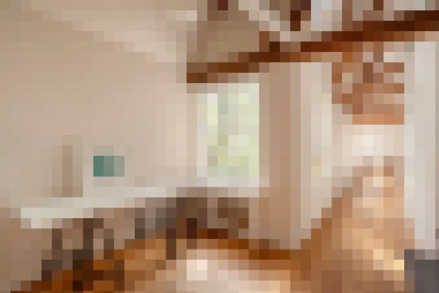 Lutherse Burgwal 17 A Den Haag thumbnail 9
