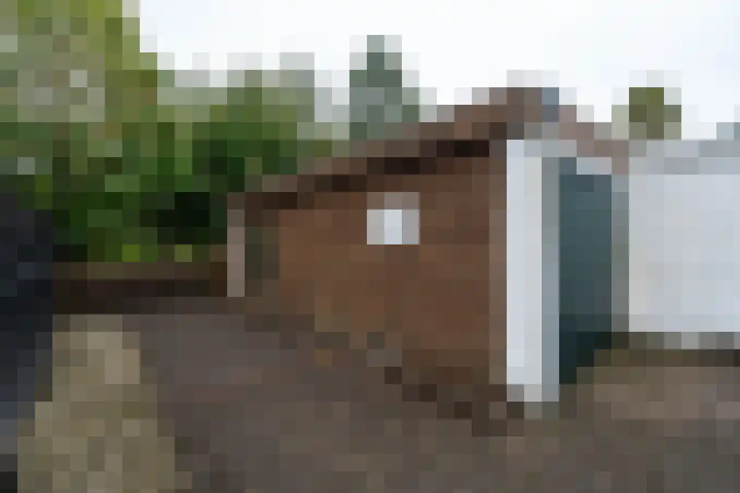 Lutherse Kerkstraat 25 Sappemeer thumbnail 29