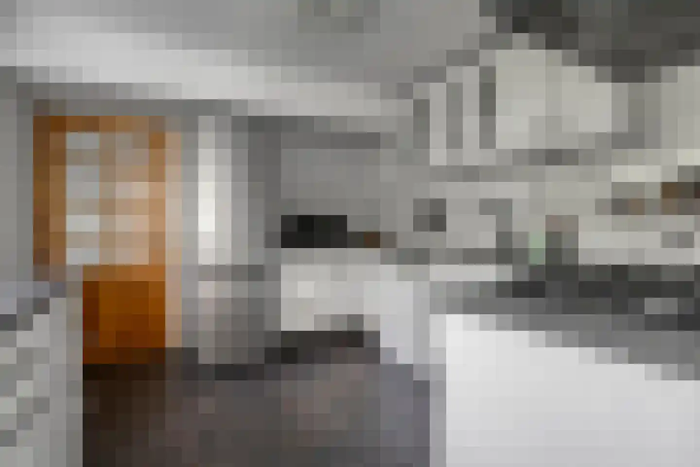 Lutherse Kerkstraat 73 Sappemeer thumbnail 13