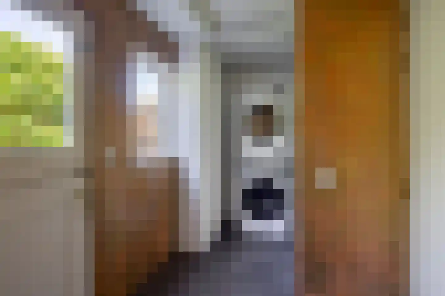 Lutherse Kerkstraat 73 Sappemeer thumbnail 15