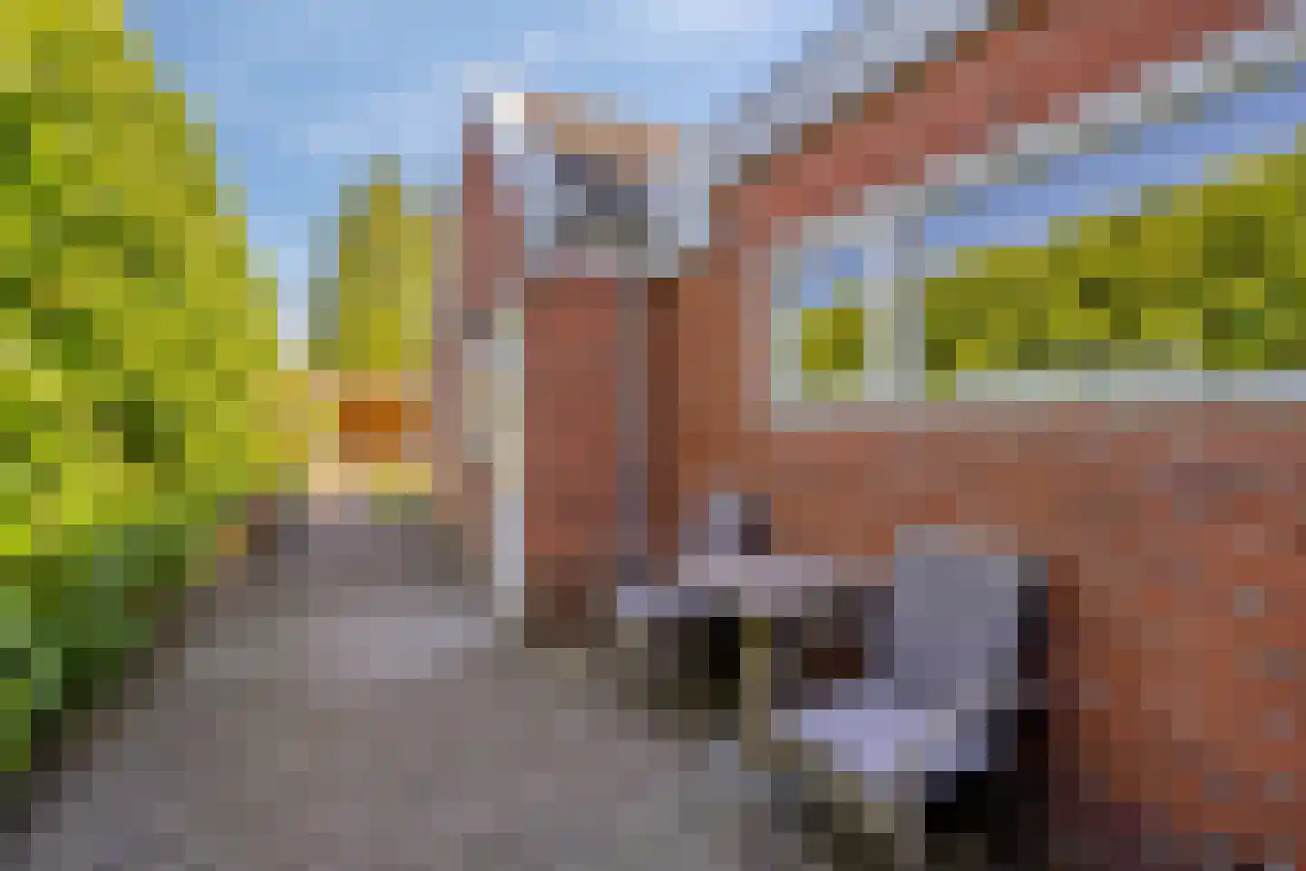 Lutherse Kerkstraat 73 Sappemeer thumbnail 26
