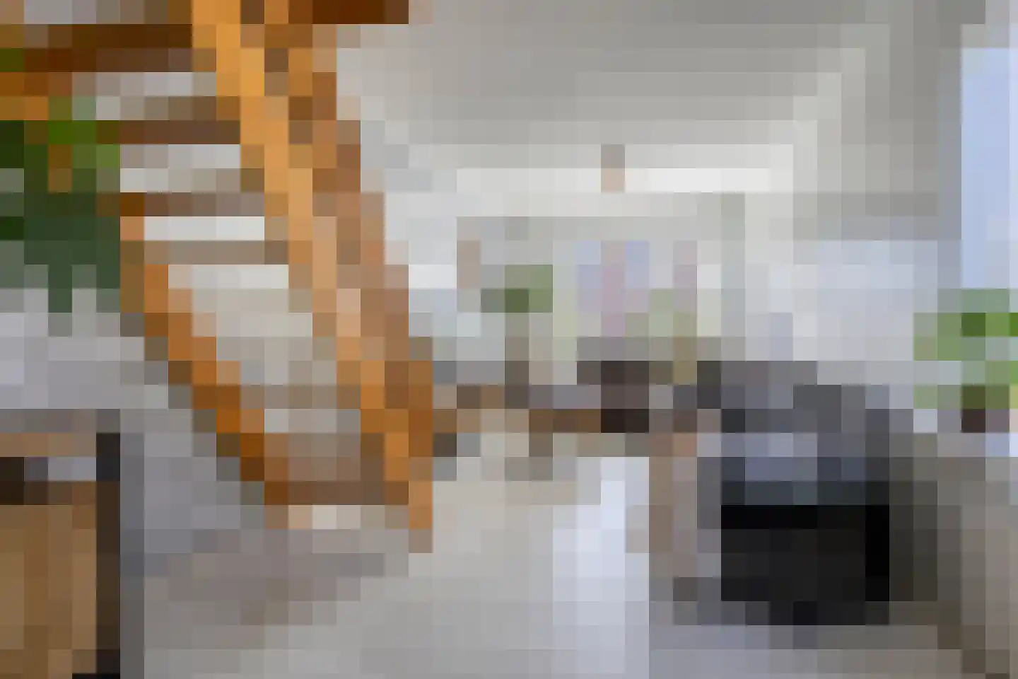 Lutherse Kerkstraat 73 Sappemeer thumbnail 9