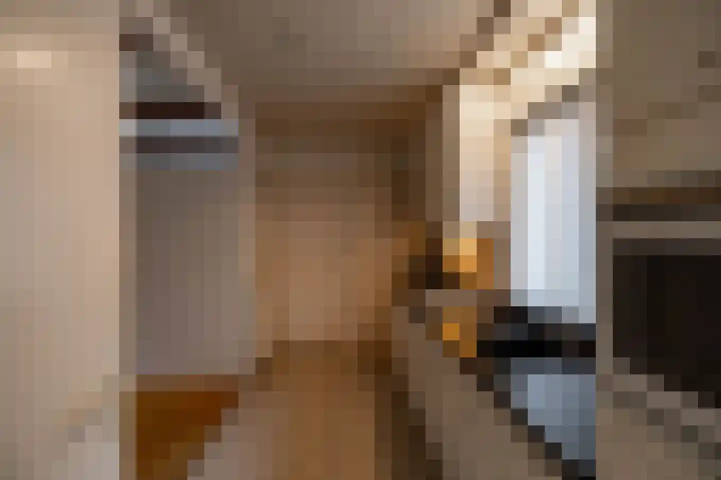 Lutherse Kerkstraat 77 Sappemeer thumbnail 13