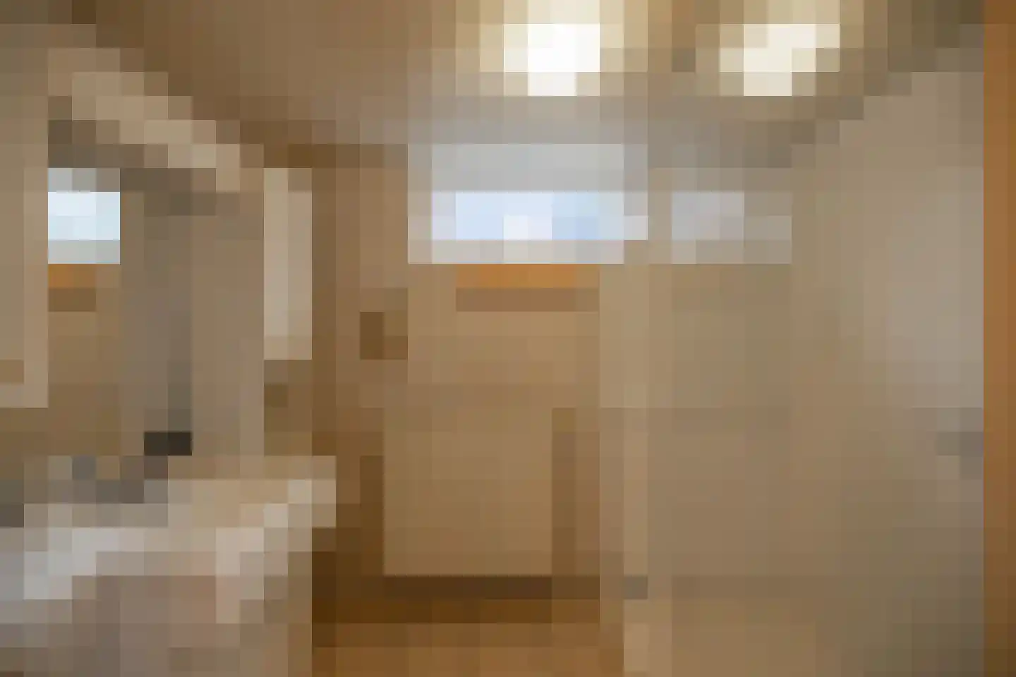 Lutherse Kerkstraat 77 Sappemeer thumbnail 17
