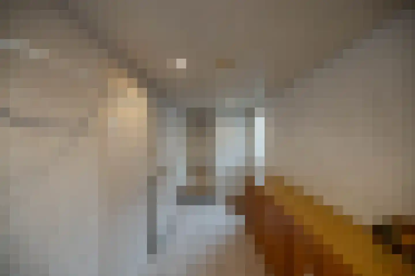 Lutherse Kerkstraat 77 Sappemeer thumbnail 21