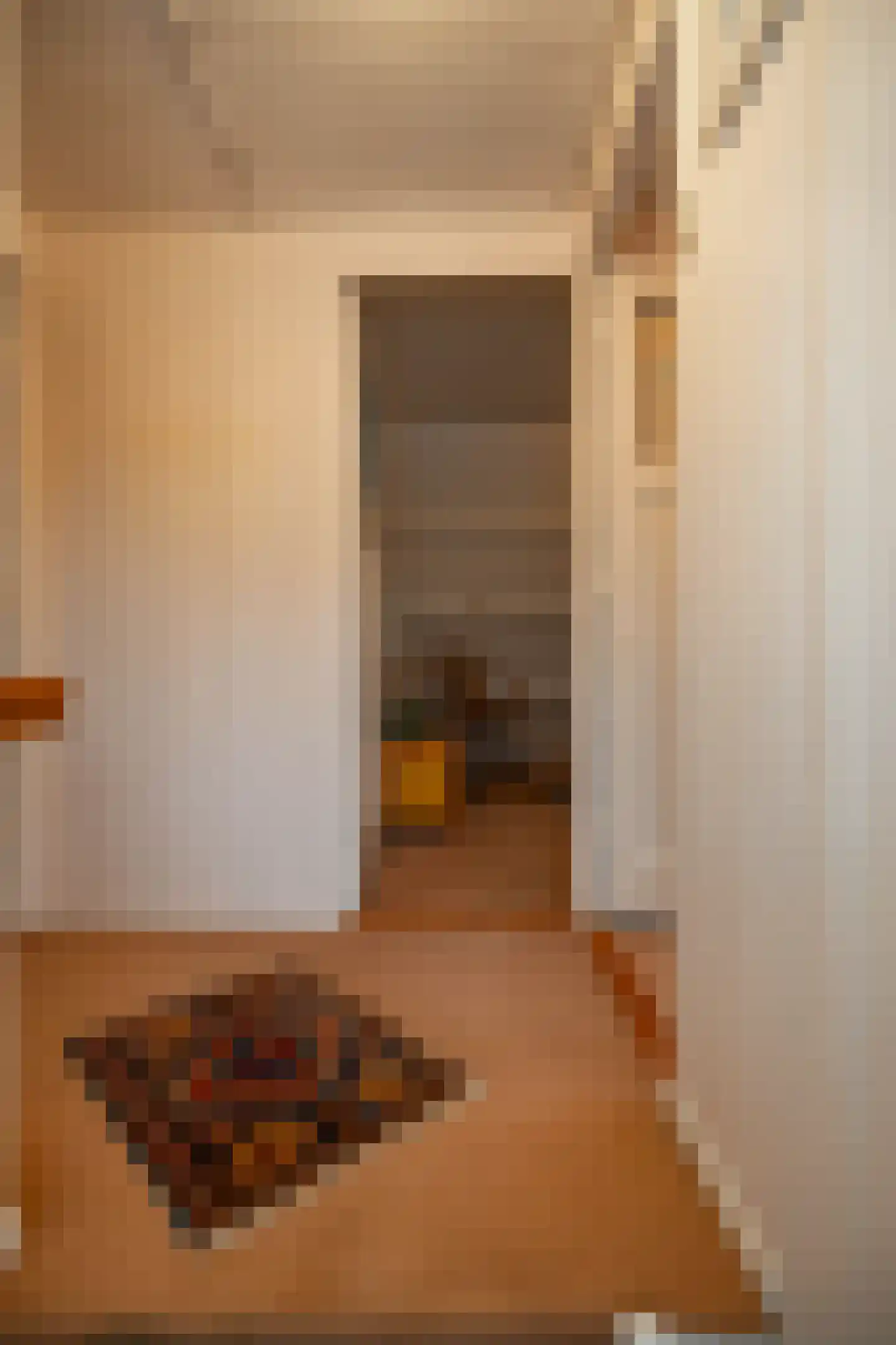 Lutherse Kerkstraat 77 Sappemeer thumbnail 23