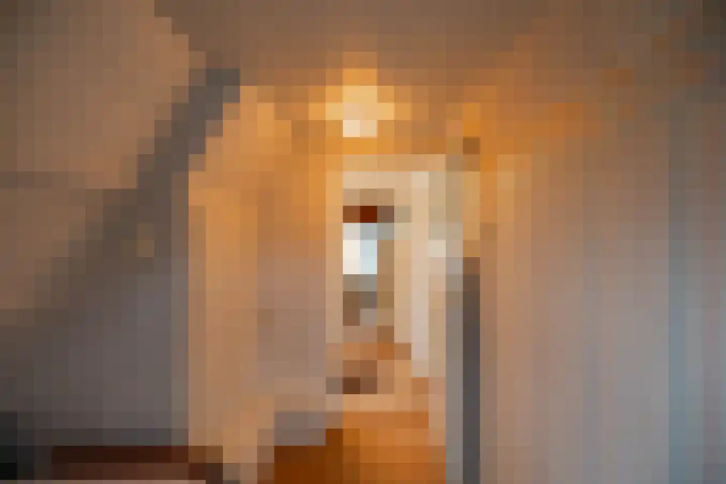 Lutherse Kerkstraat 77 Sappemeer thumbnail 26
