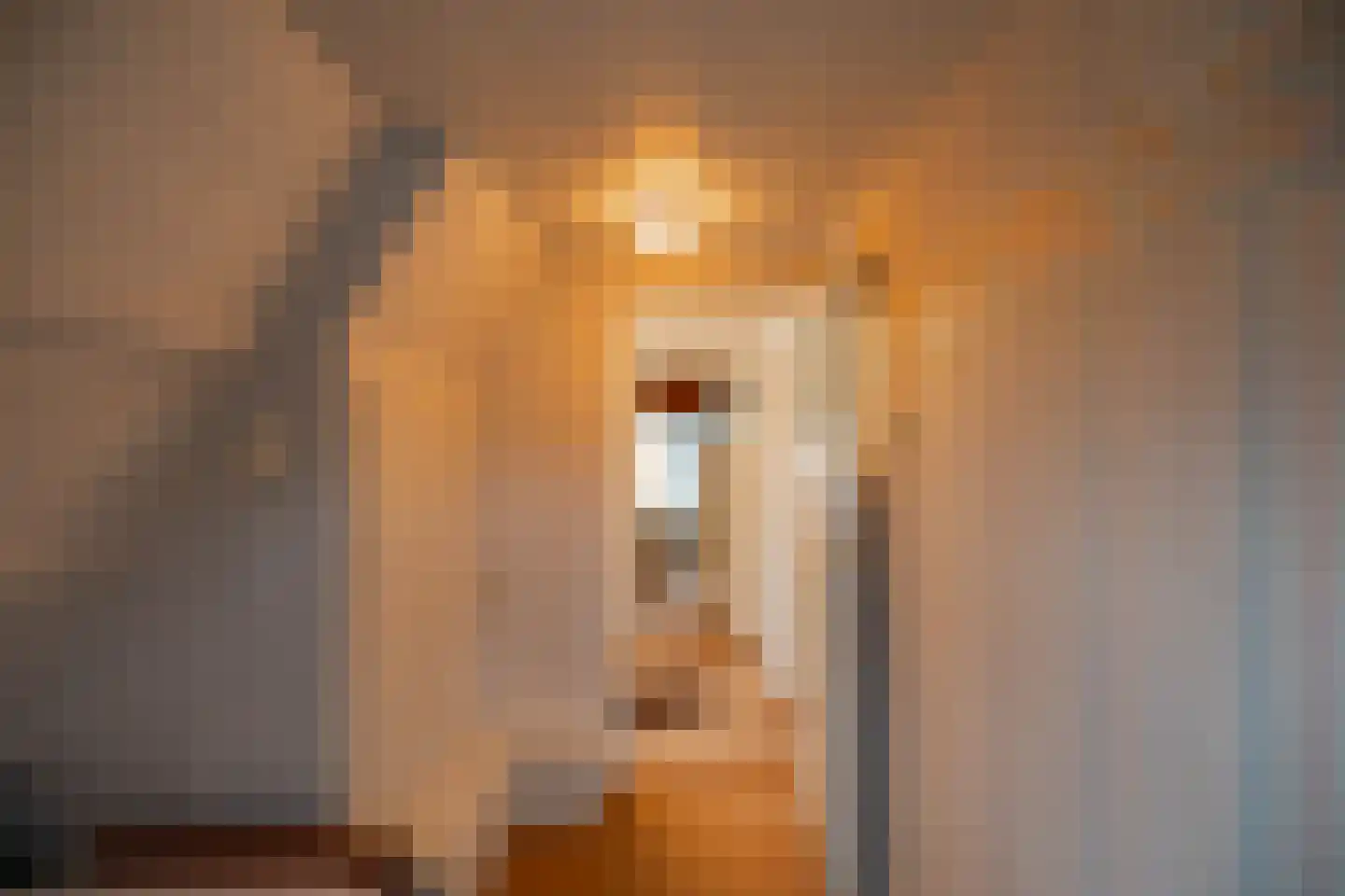 Lutherse Kerkstraat 77 Sappemeer thumbnail 26