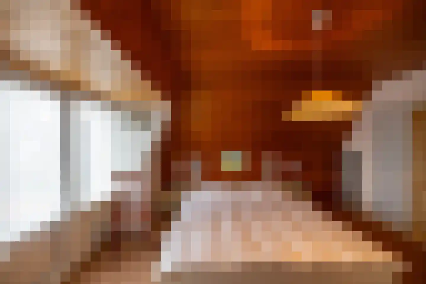Lutherse Kerkstraat 77 Sappemeer thumbnail 29