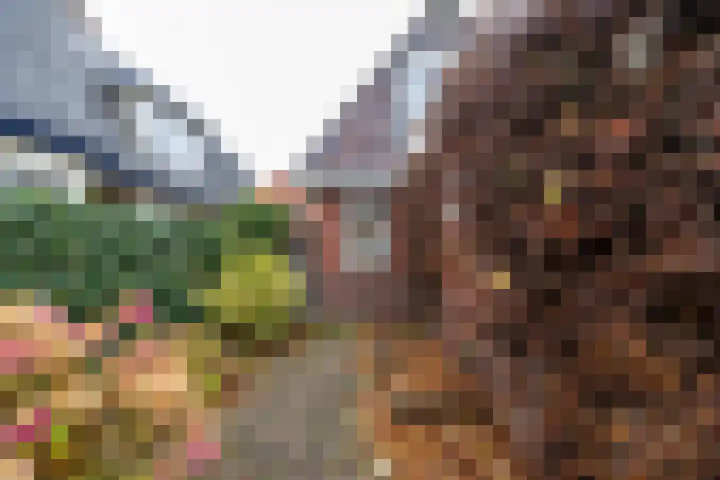 Lutherse Kerkstraat 77 Sappemeer thumbnail 34