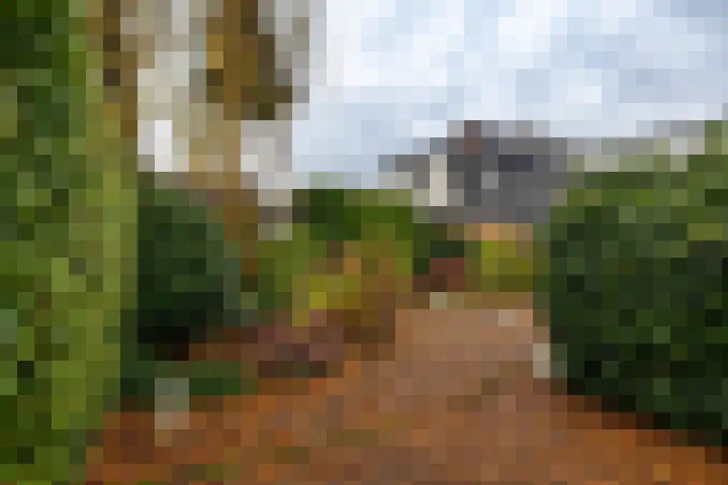 Lutherse Kerkstraat 77 Sappemeer thumbnail 38