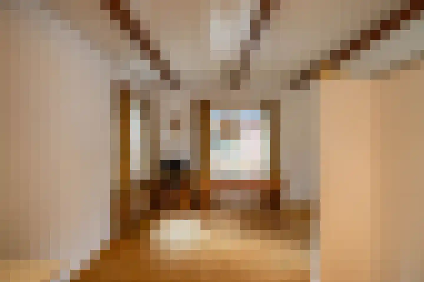 Lutherse Kerkstraat 77 Sappemeer thumbnail 8