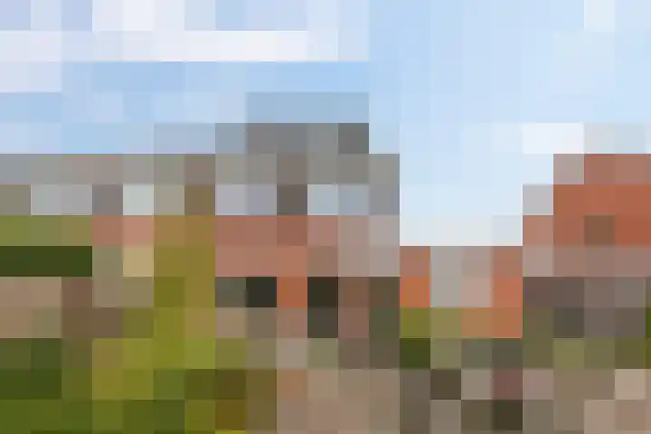 Lutherstraat 29 Groningen thumbnail 41