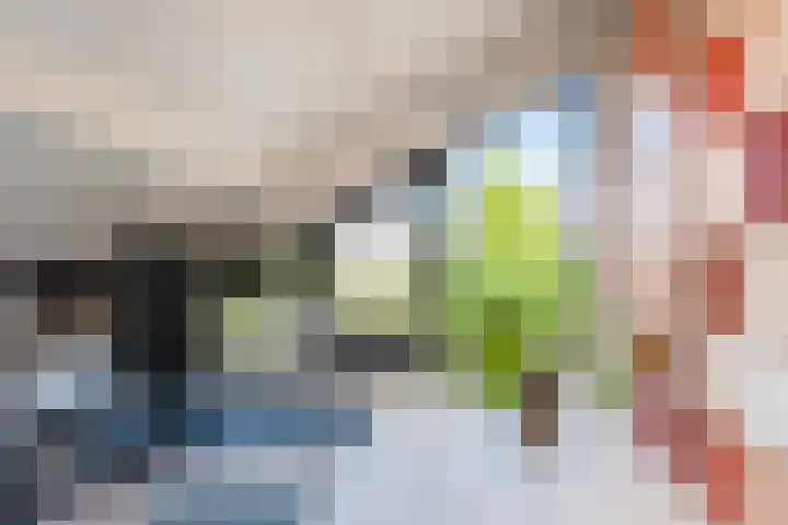 Luthulisingel 40 Culemborg thumbnail 35
