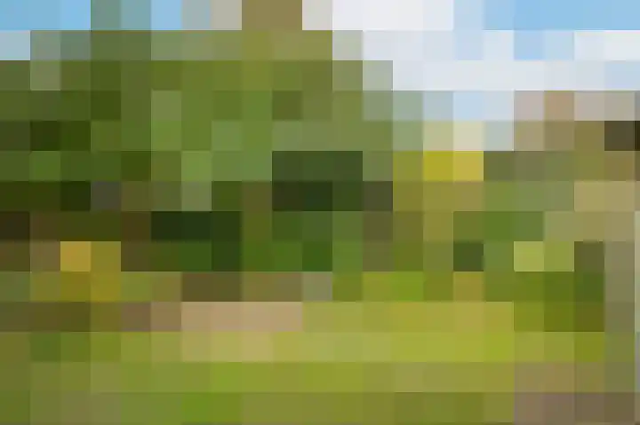 Luthulisingel 54 Culemborg thumbnail 36