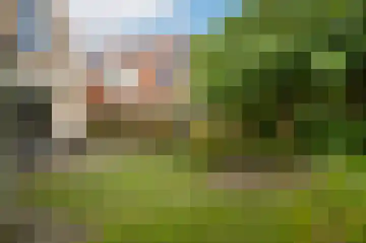 Luthulisingel 54 Culemborg thumbnail 39