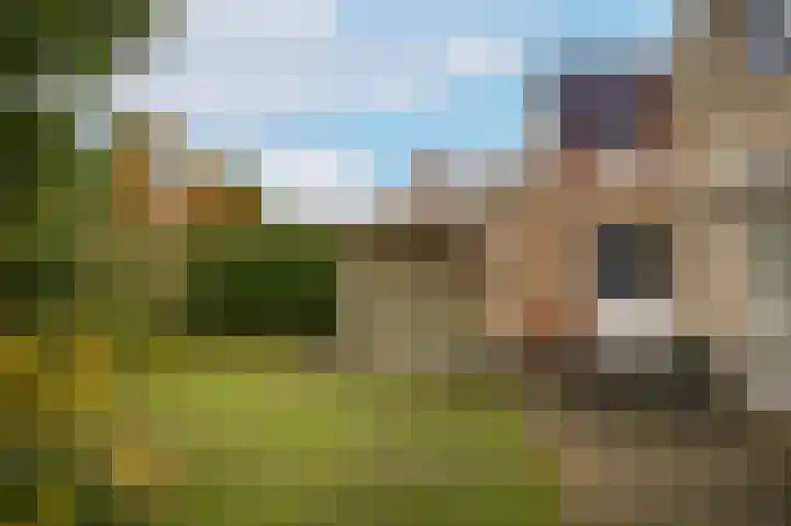 Luthulisingel 54 Culemborg thumbnail 40