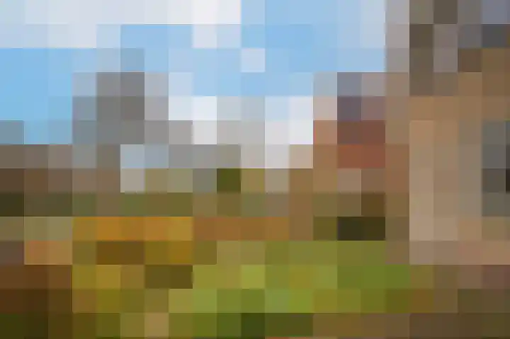 Luthulisingel 54 Culemborg thumbnail 43
