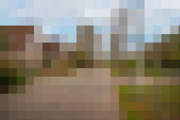 Luthulisingel 54 Culemborg thumbnail 44
