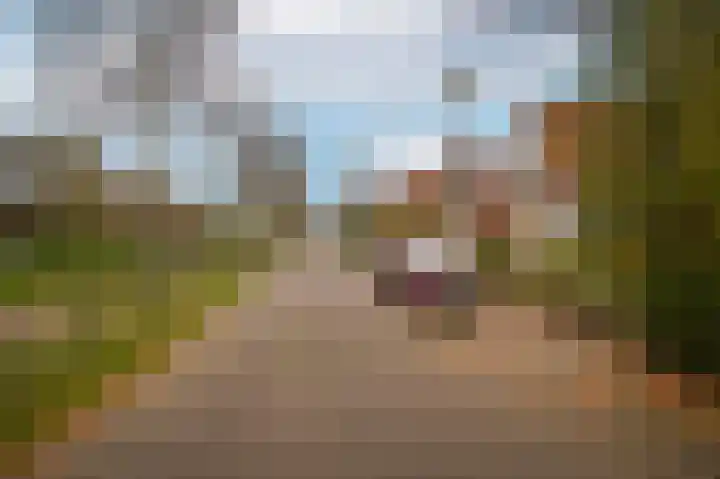 Luthulisingel 54 Culemborg thumbnail 45