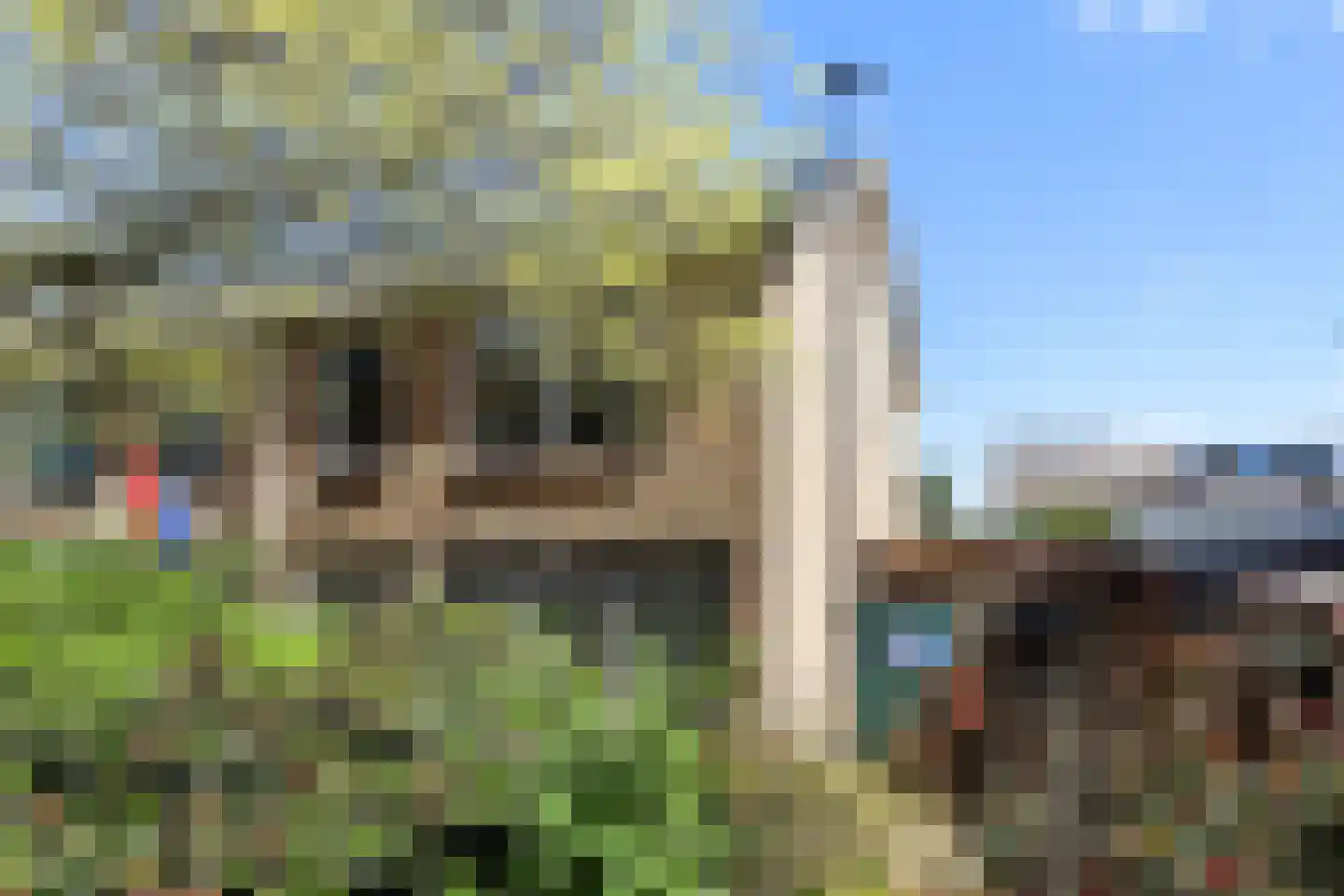 Lutinelaan 24 Vlieland thumbnail 28
