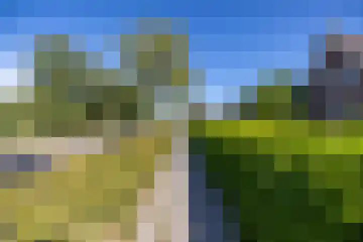 Lutjegasterweg 26 Grootegast thumbnail 12