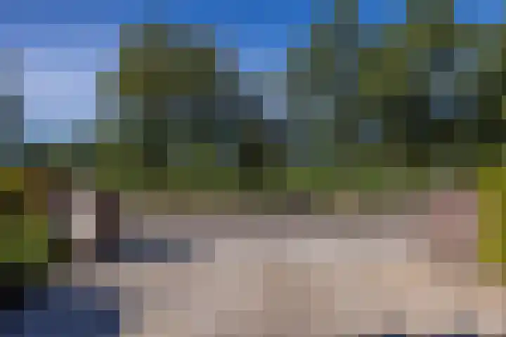 Lutjegasterweg 26 Grootegast thumbnail 15