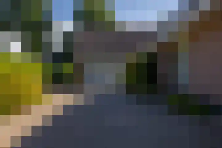 Lutjegasterweg 26 Grootegast thumbnail 16