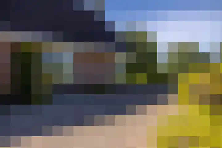 Lutjegasterweg 26 Grootegast thumbnail 17