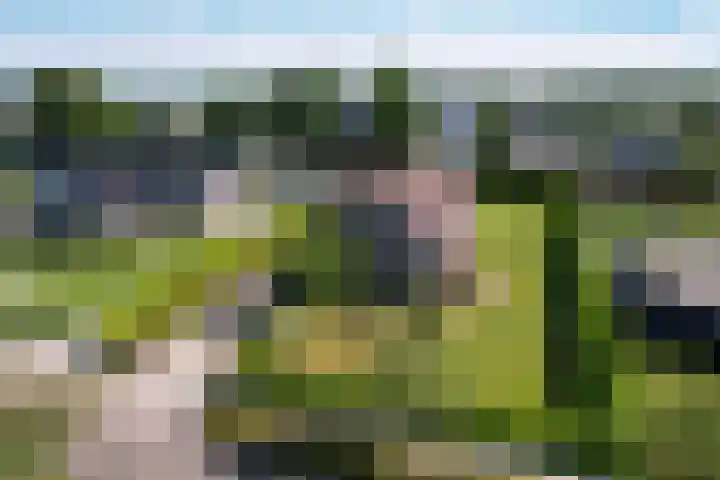 Lutjegasterweg 26 Grootegast thumbnail 4