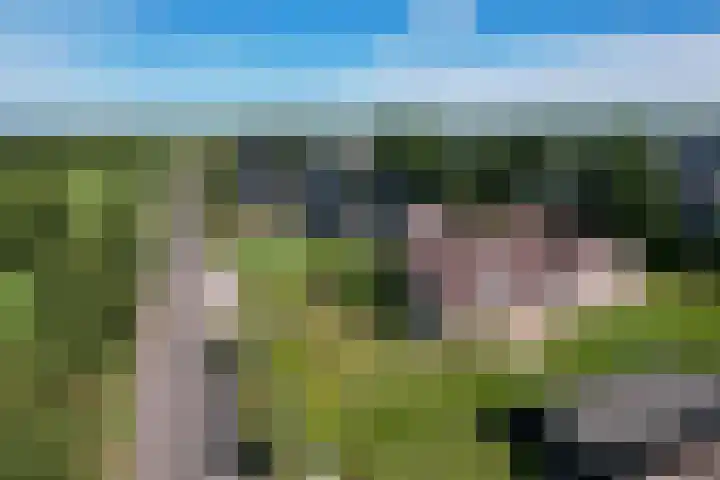 Lutjegasterweg 26 Grootegast thumbnail 5