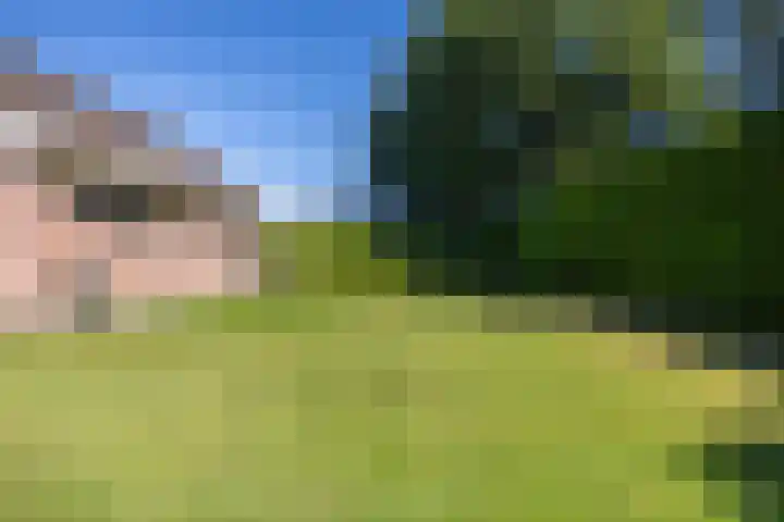 Lutjegasterweg 26 Grootegast thumbnail 62