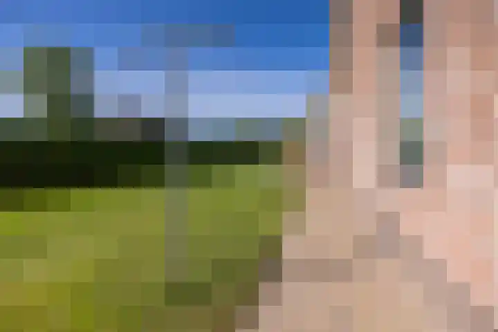 Lutjegasterweg 26 Grootegast thumbnail 64