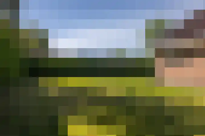 Lutjegasterweg 26 Grootegast thumbnail 66