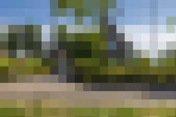 Lutjegasterweg 26 Grootegast thumbnail 7