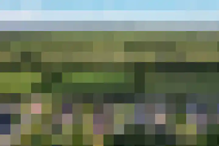 Lutjegasterweg 26 Grootegast thumbnail 69